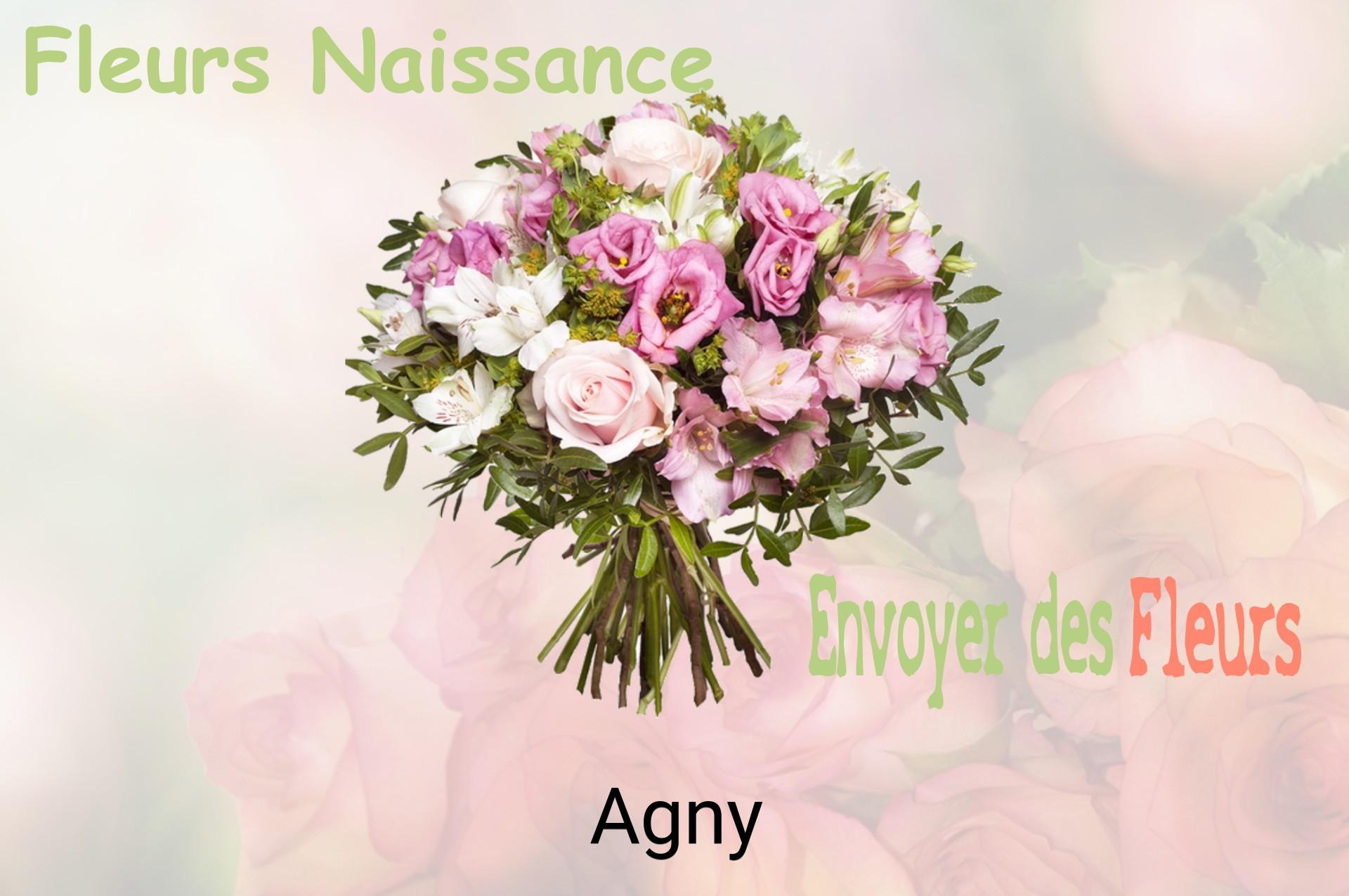 Bouquet de fleurs de naissance livré à Agny